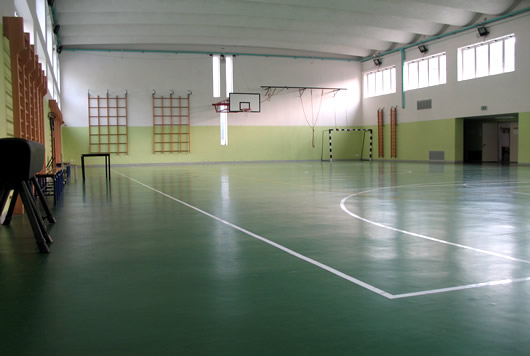 Campi di basket e volley in palestra